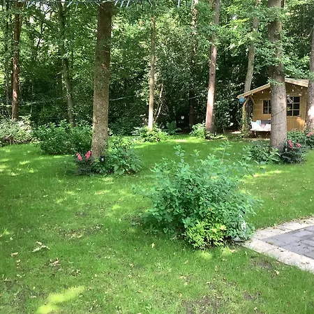 Mawosy Bed & Breakfast Apeldoorn
