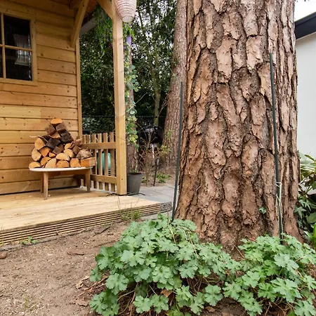 Bed & Breakfast Mawosy