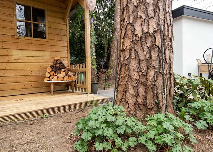 Bed & Breakfast Mawosy